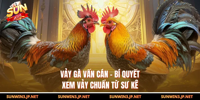 Vảy Gà Vấn Cán